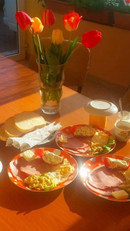 Motel Ioanis Mîndruloc Buitenkant foto